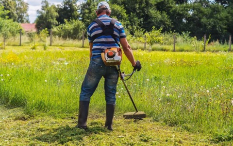Sfalci ridotti nei parchi di Brembate: un passo verso la biodiversità