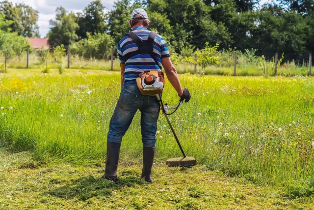 Sfalci ridotti nei parchi di Brembate: un passo verso la biodiversità