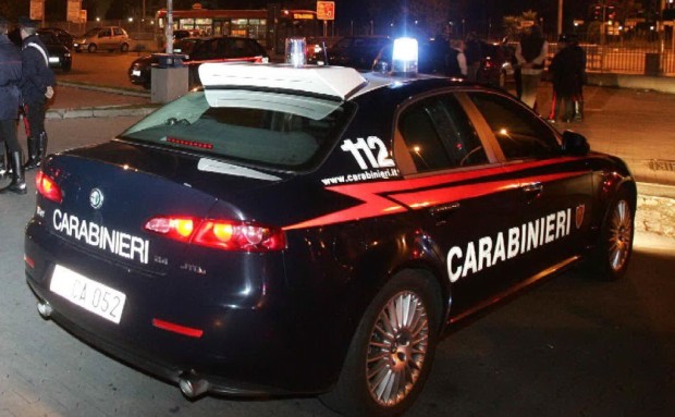 Un capriolo muore dopo l’impatto con un’auto vicino al casello A4