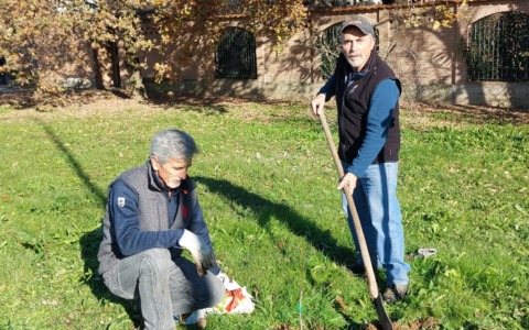 Il Circolo Cà Bianca promuove una campagna per l’irrigazione degli alberi